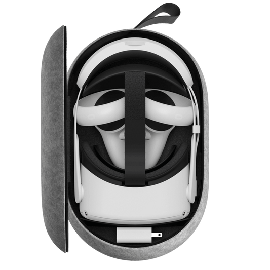 carrying case small.png